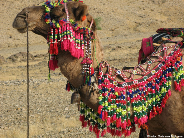 Baloch embroidery detail